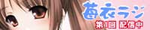 meiradi_01.bmp